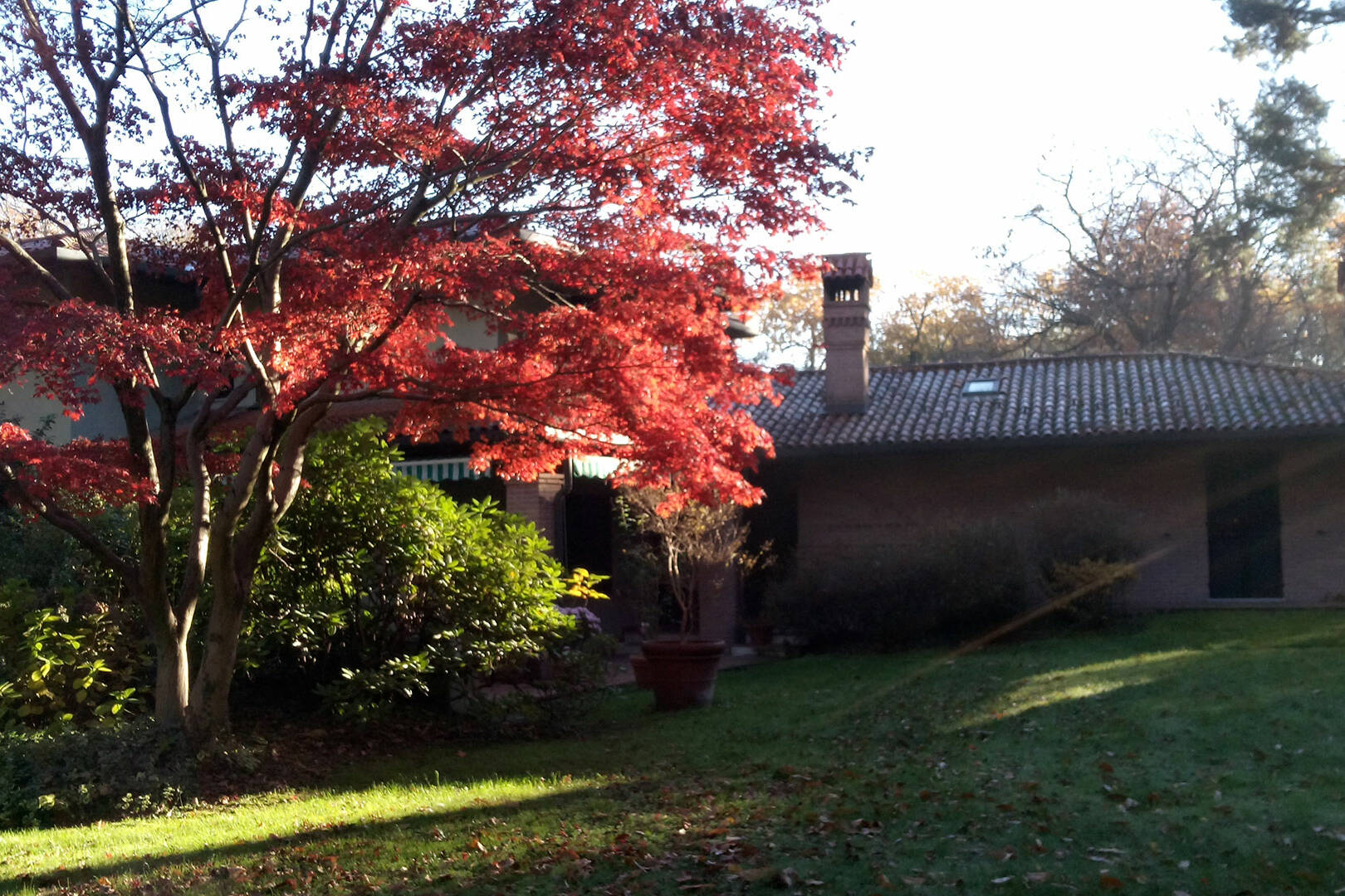 Evolve Garden CurePeriodiche 16 9 uai