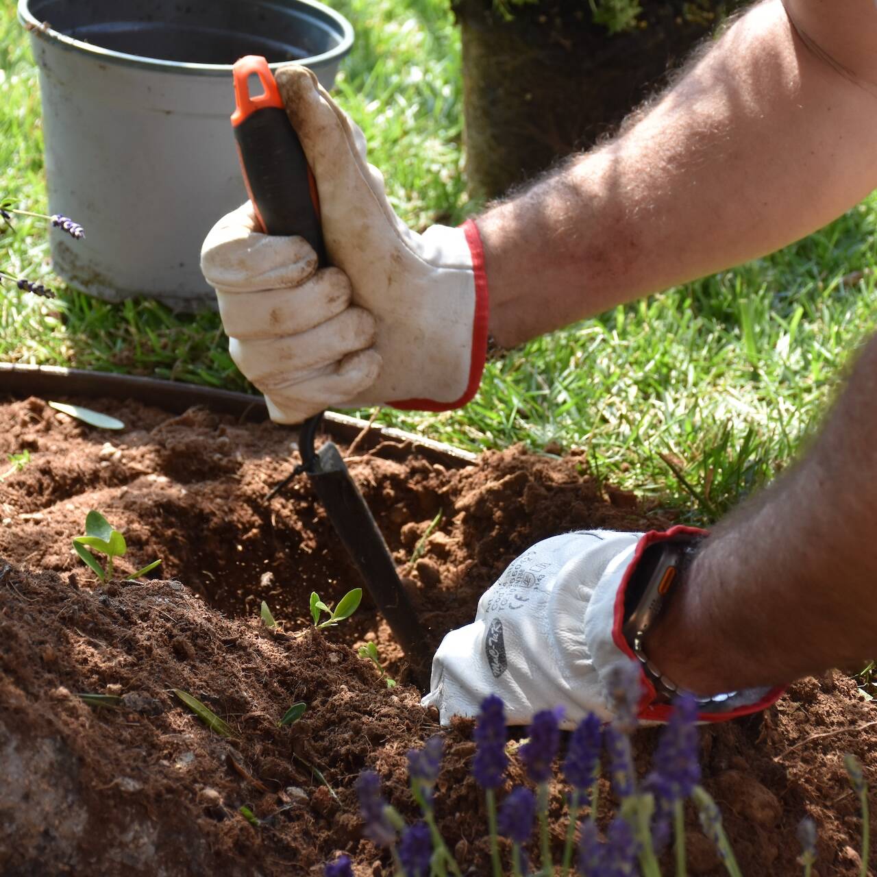 EvolveGarden_Giardinaggio