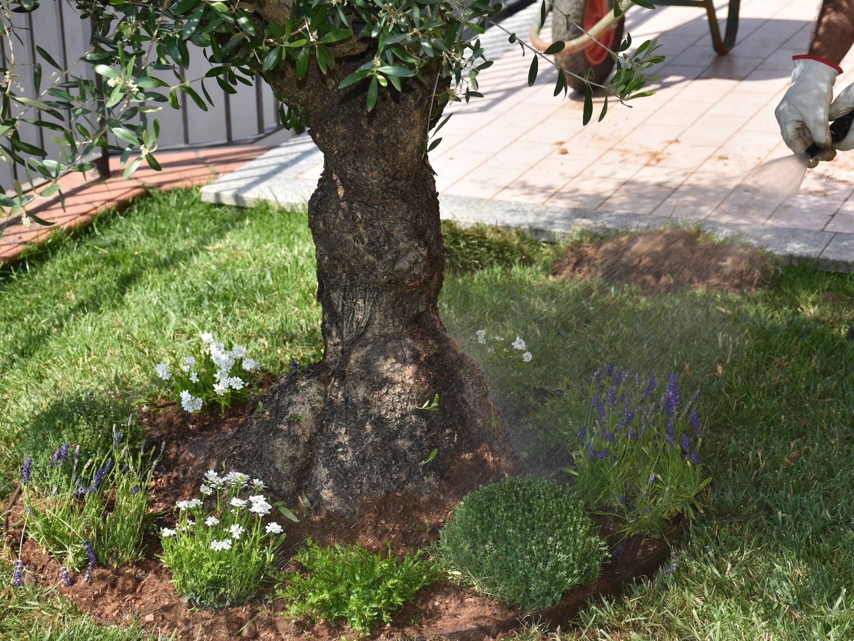 EvolveGarden_Giardinaggio