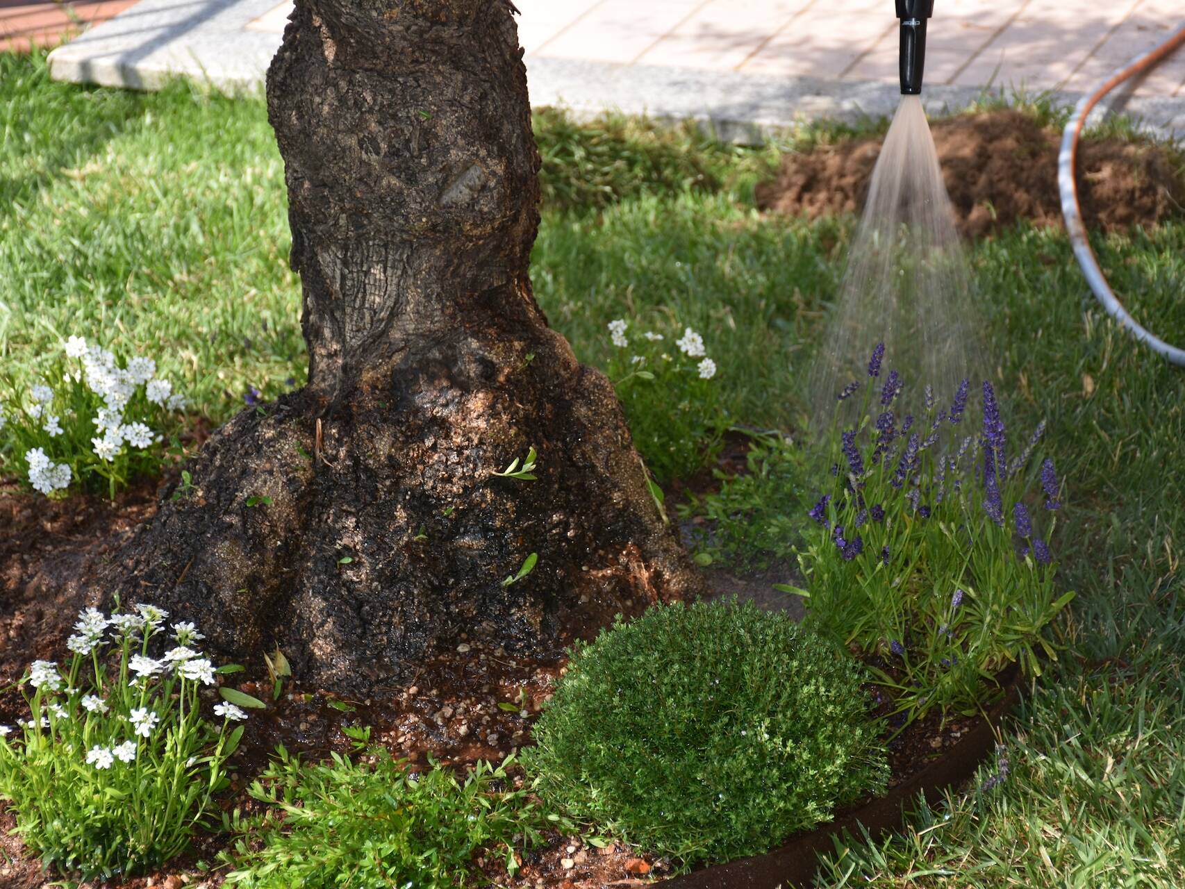 EvolveGarden_Giardinaggio
