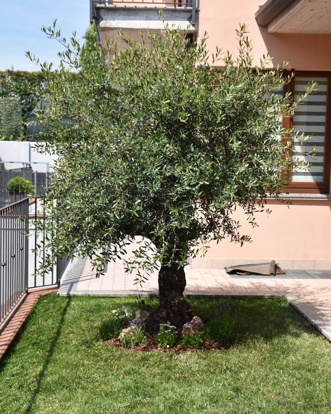 EvolveGarden_Giardinaggio