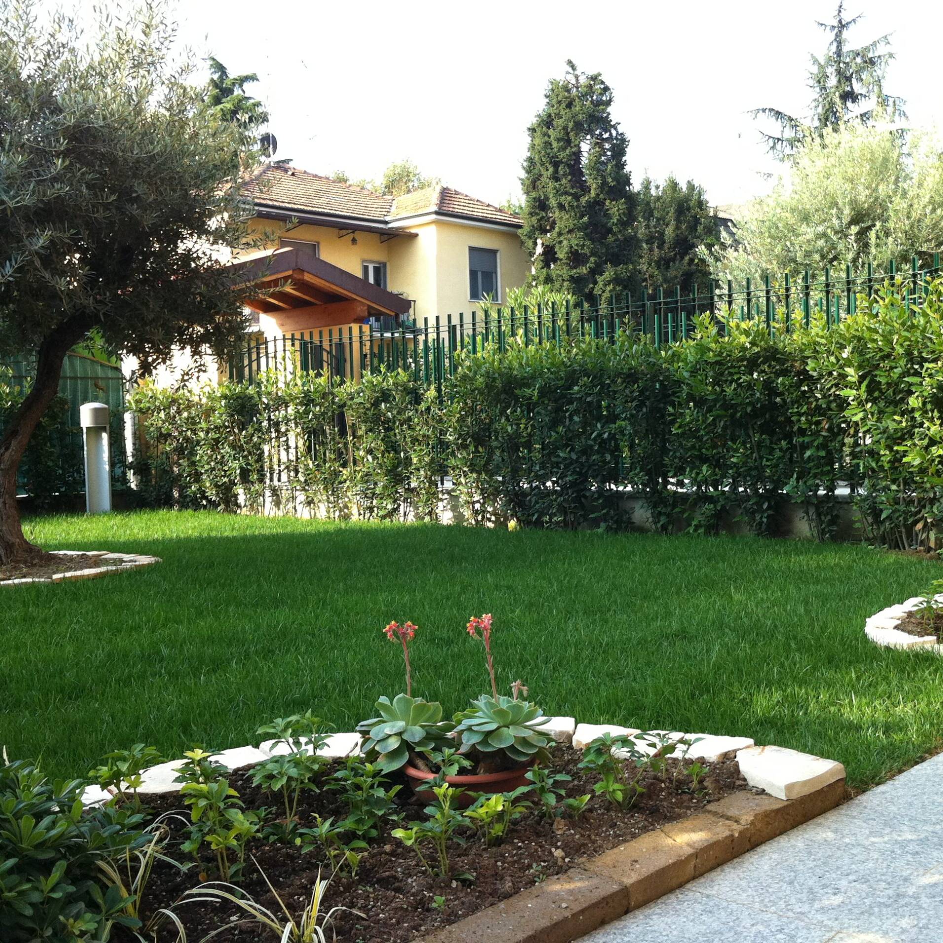 EvolveGarden_Giardinaggio